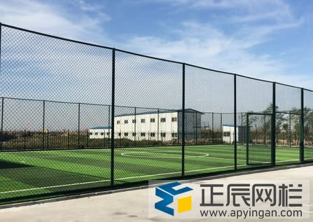 球場(chǎng)圍網(wǎng)+