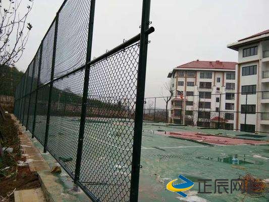 專業(yè)的球場(chǎng)圍欄網(wǎng)廠家