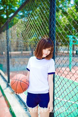 籃球場(chǎng)圍欄網(wǎng)